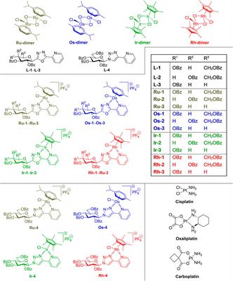 Targeting Multiresistant Gram-Positive Bacteria by Ruthenium, Osmium, Iridium and Rhodium Half-Sandwich Type Complexes With Bidentate Monosaccharide Ligands